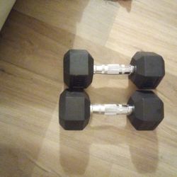 20 Pound Dumbbells 
