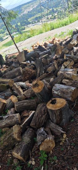 Free wood firewood