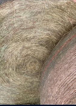 Horse Hay Bale Grass   Rollos De Sacate
