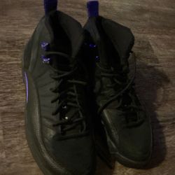 Jordan 12 