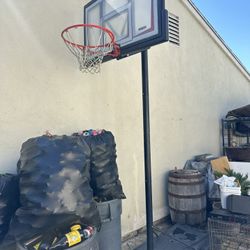 Lifetime Basketball Hoop 
