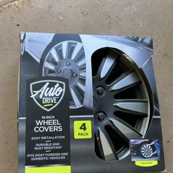 Auto Drive Wheel Covers 