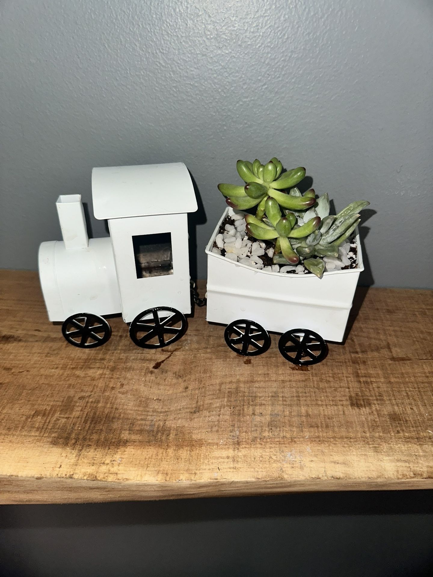 Succulents In Metal Train Planter