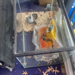 Fish tank