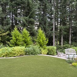 Artificial Turf Grass 18x7’