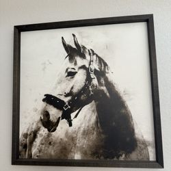 Framed Horse Wall Art