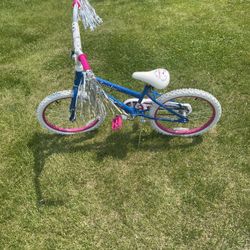 Bike 20 Inch  Brand New 