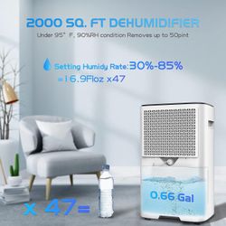 40-Pint Dehumidifier with 2000 Sq. Ft Coverage Area