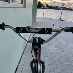 2024 SE Big Ripper CG 29