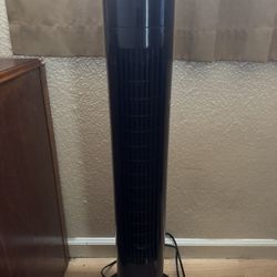 Rotating Cooling Fan w/Remote 