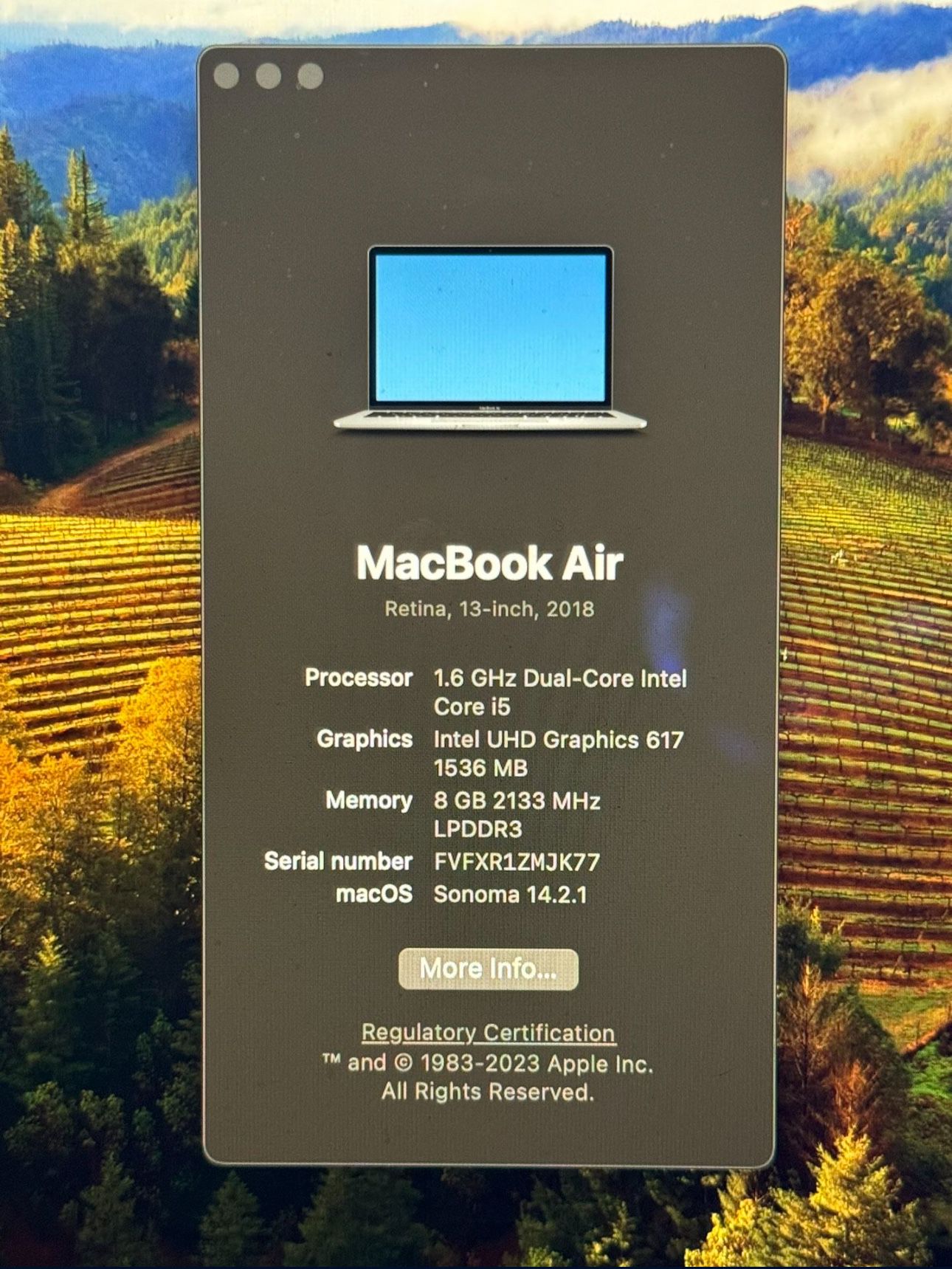 2 macbook air  laptops 