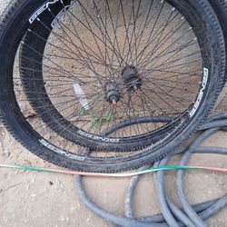 Genesis Two Bicycle Wheels