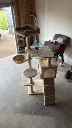 cat house or lounge