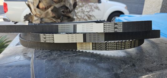 Timing Belts