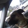 Ryker 