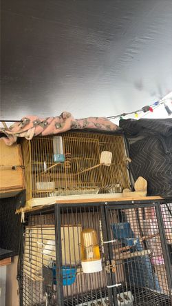 Bird cage
