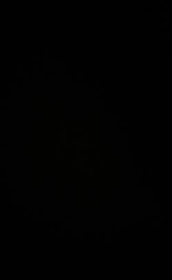 Looking for Sun splash house ticket