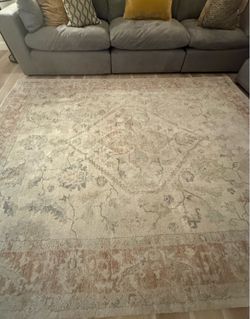 Rug 8x 10 Allen and Roth