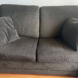 Loveseat Pullout bed