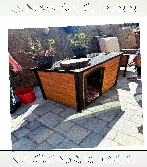 Dog Houses and Kennels - Comfort Plus Strength role song