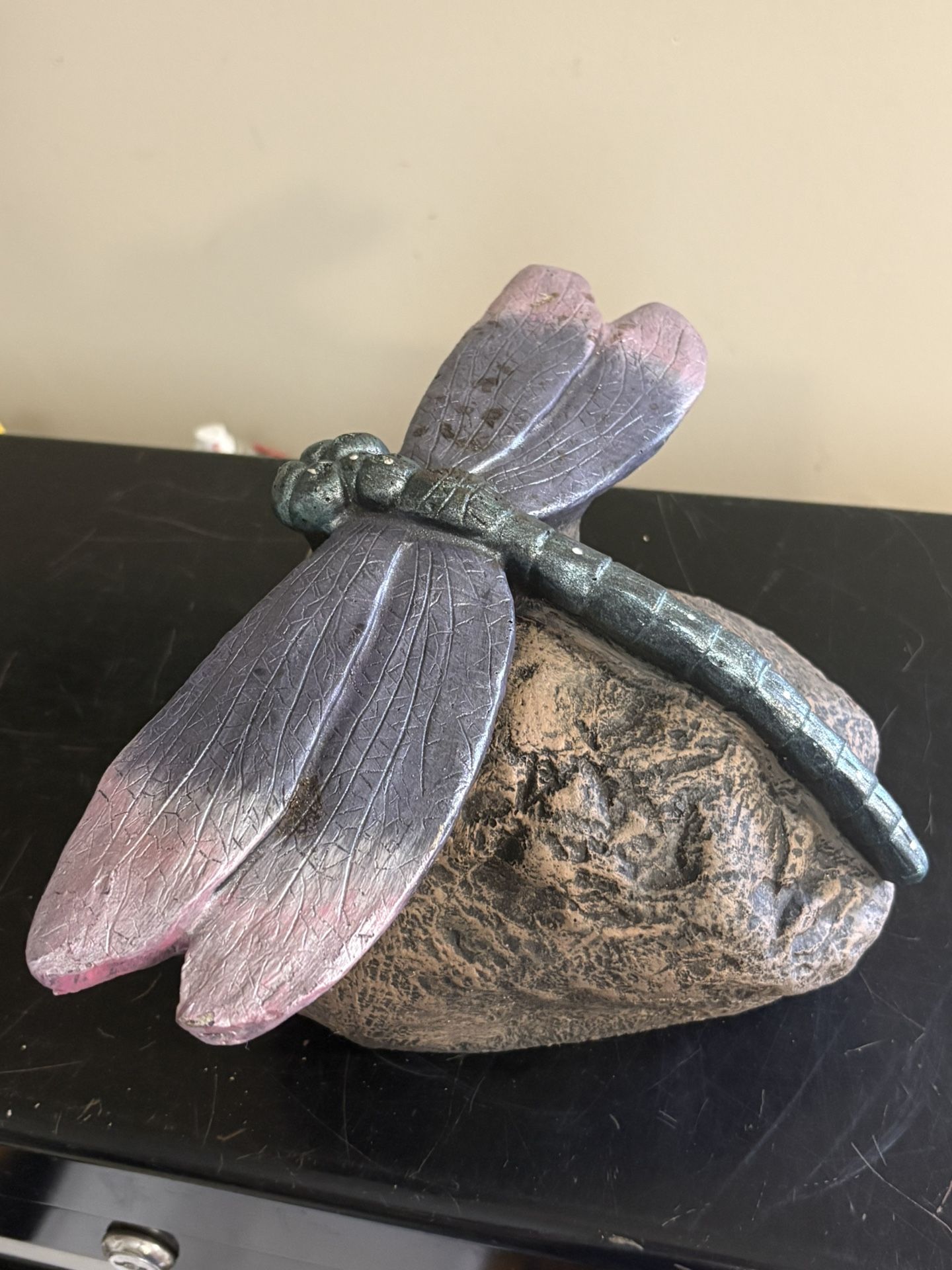 Heavy Dragonfly On Rock 10”