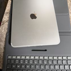 11 Inches iPod Band New 