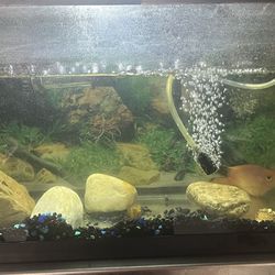 10 Gallon Cover less Fish Tank With Filter 