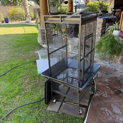 Bird Cage