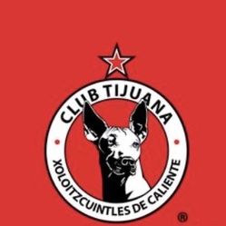 xolos vs puebla