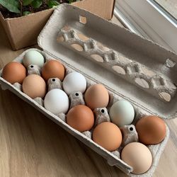 $5 fresh backyard chicken eggs