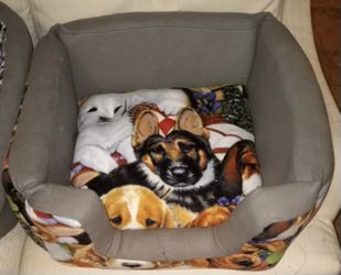 Pet Bed