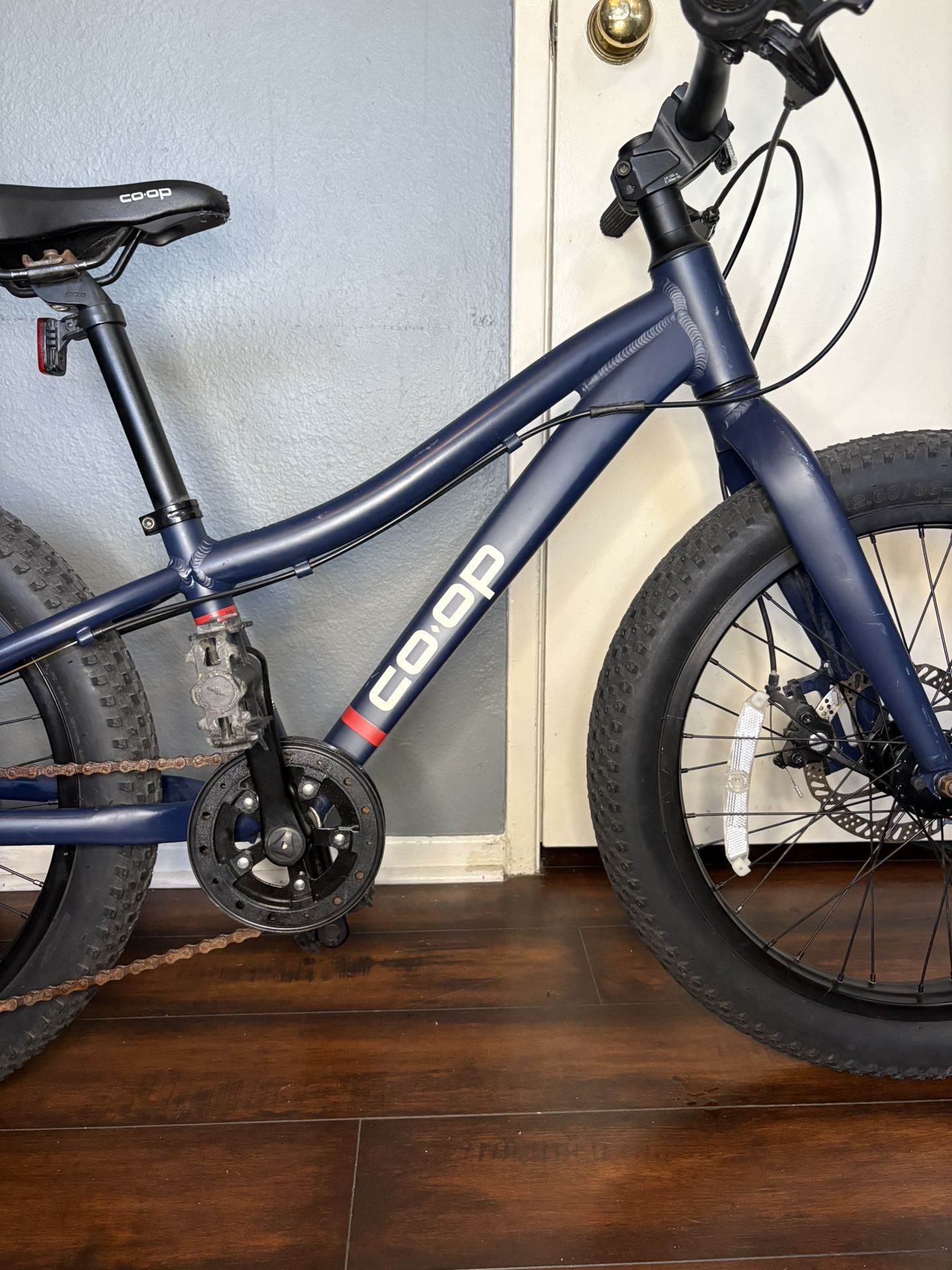 REV 20 6-Speed Plus Kids' Mountain Bike