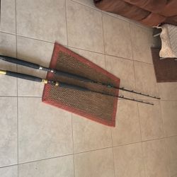 Fishing poles offshore