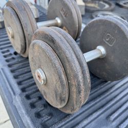 50LB Dumbbells