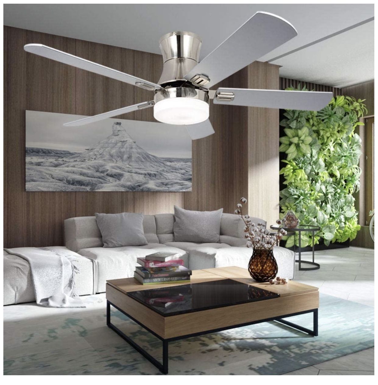 New ceiling fan
