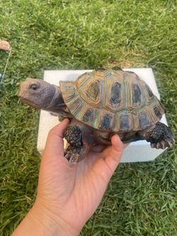 8” Turtle Garden Decor – $8 Each, Bundle Discount