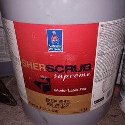 SherScrub Interior White Paint 5 Gallon 