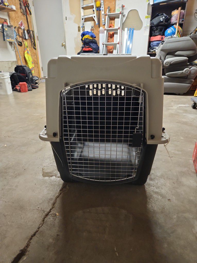 Dog kennel Medium size 