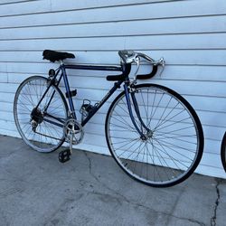 Nishiki Road Bike