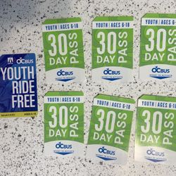 Bus Passes (30 Day)