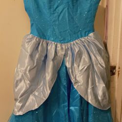 Cinderella Costume