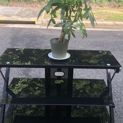 Glass Black Tv Stand ( 40”w X 24”h X 17”d )