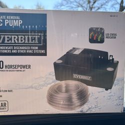 Everbilt Pump
