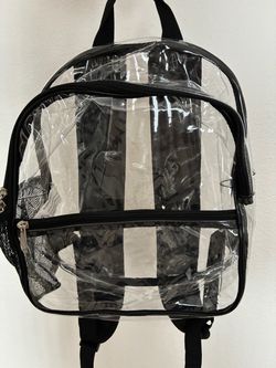 Transparent small concert bag