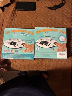 Cat Interactive Toy