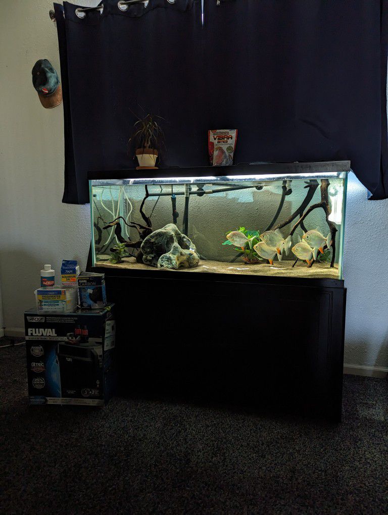 75 Gallon Aquarium Fish Tank