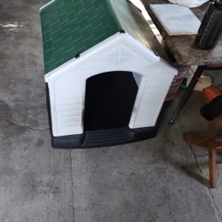 Dog House 