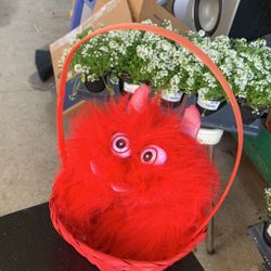Red Basket And Pet Or Kid Head Furry Red Costume