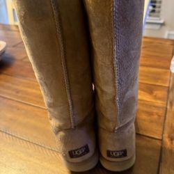 Uggs Size 8