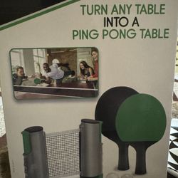 Portable ping-pong game